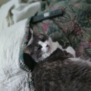 Meet your Posher, Shawn